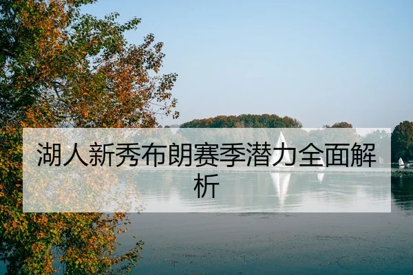湖人新秀布朗赛季潜力全面解析