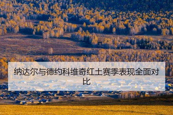 na-da-er-yu-de-yue-ke-wei-qi-hong-tu-sai-ji-biao-xian-quan-mian-dui-bi-2-527.jpg